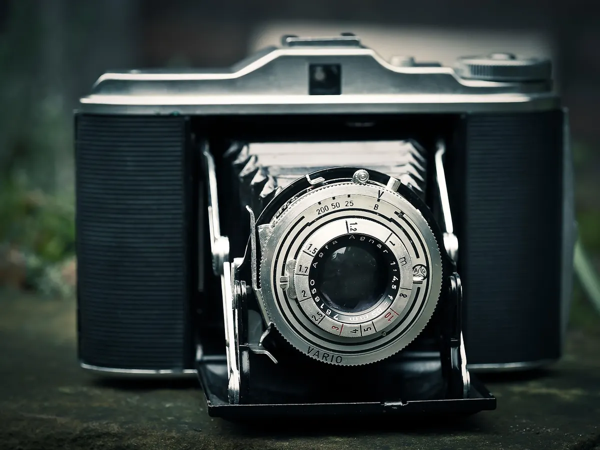 A Beginner's Guide to Metering and Exposure for Nature Photography