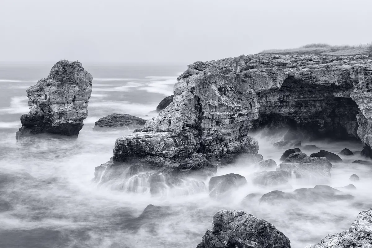 Coastal Mist vs Inland Fog: A Comparison for Nature Photographers