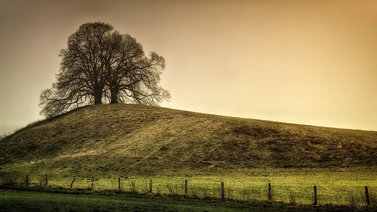 Common Mistakes in Landscape Photography During Fog (and How to Fix Them)